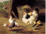 unknow artist Cocks 133 china oil painting reproduction